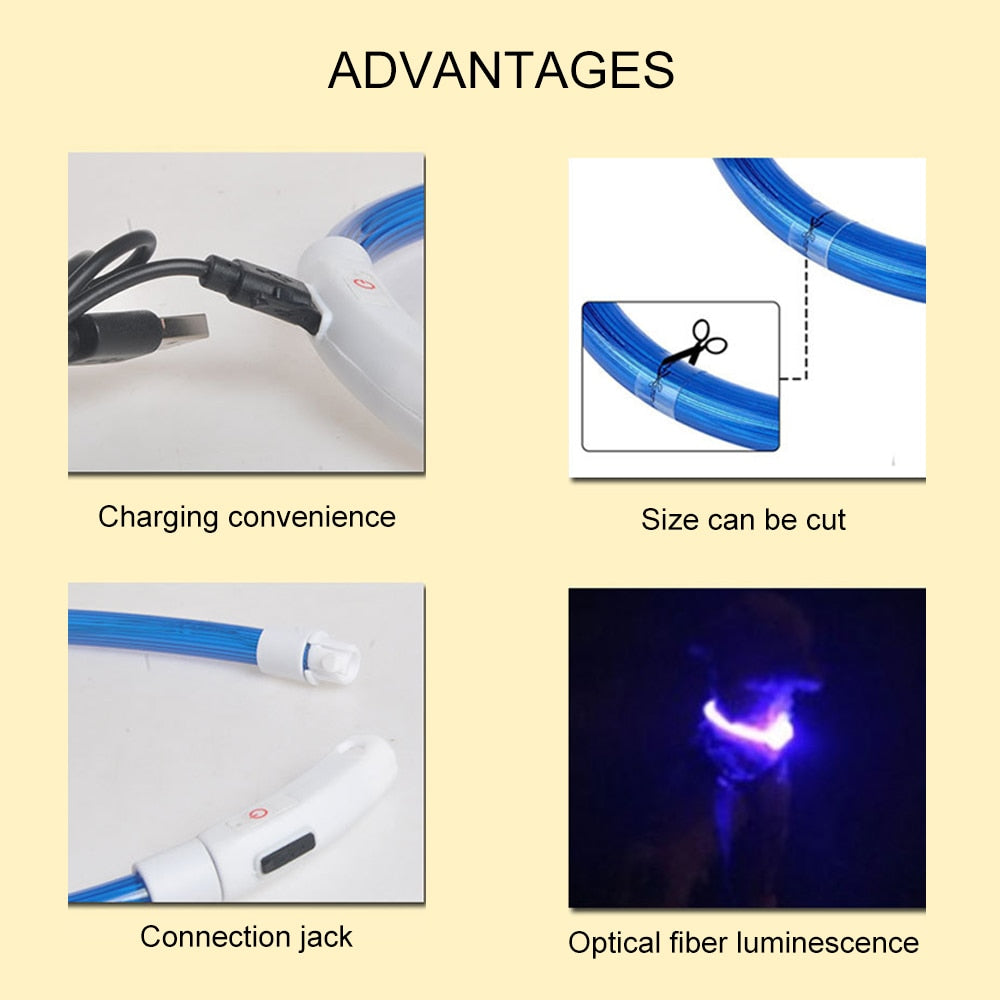 Coleira USB recarregável LED para cachorro de estimação. Coleira brilhante e luminosa para passeios noturno com seu animalzinho.